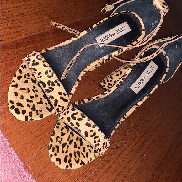 Steve Madden Shoes - Cheetah Steve Madden